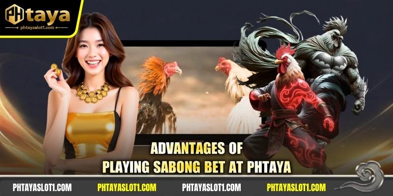 Advantages of playing sabong bet at PHTAYA Advantages of playing sabong bet at PHTAYA