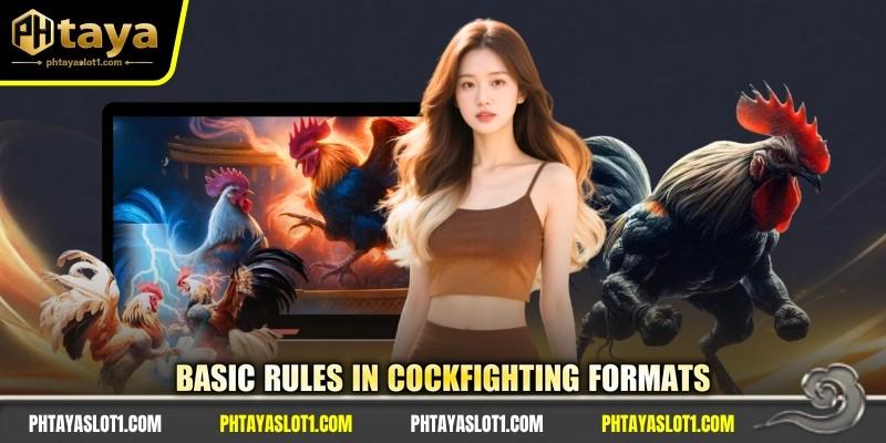 Basic rules in cockfighting formats