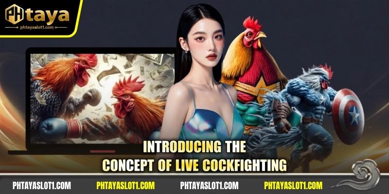 Introducing the concept of live cockfighting
