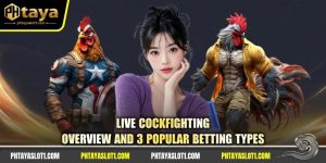 Live Cockfighting - Overview And 3 Popular Betting Types