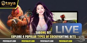 Sabong Bet - Explore 4 Popular Types Of Cockfighting Bets