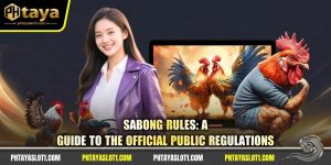 Sabong Rules: A Guide To The Official Public Regulations